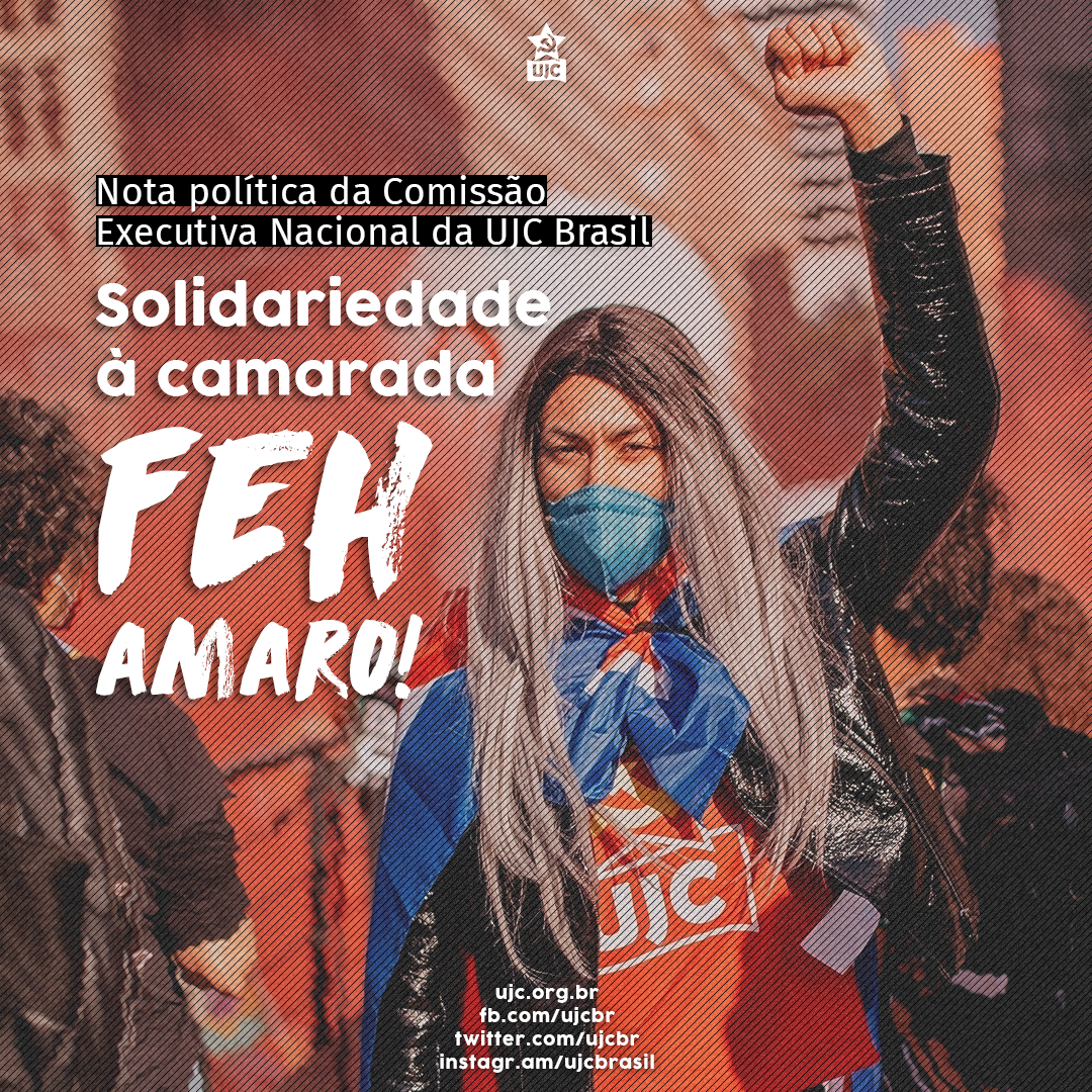 Nota de Solidariedade à camarada Fêh Amaro