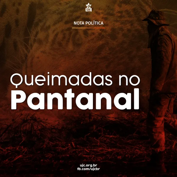 QUEIMADAS NO PANTANAL